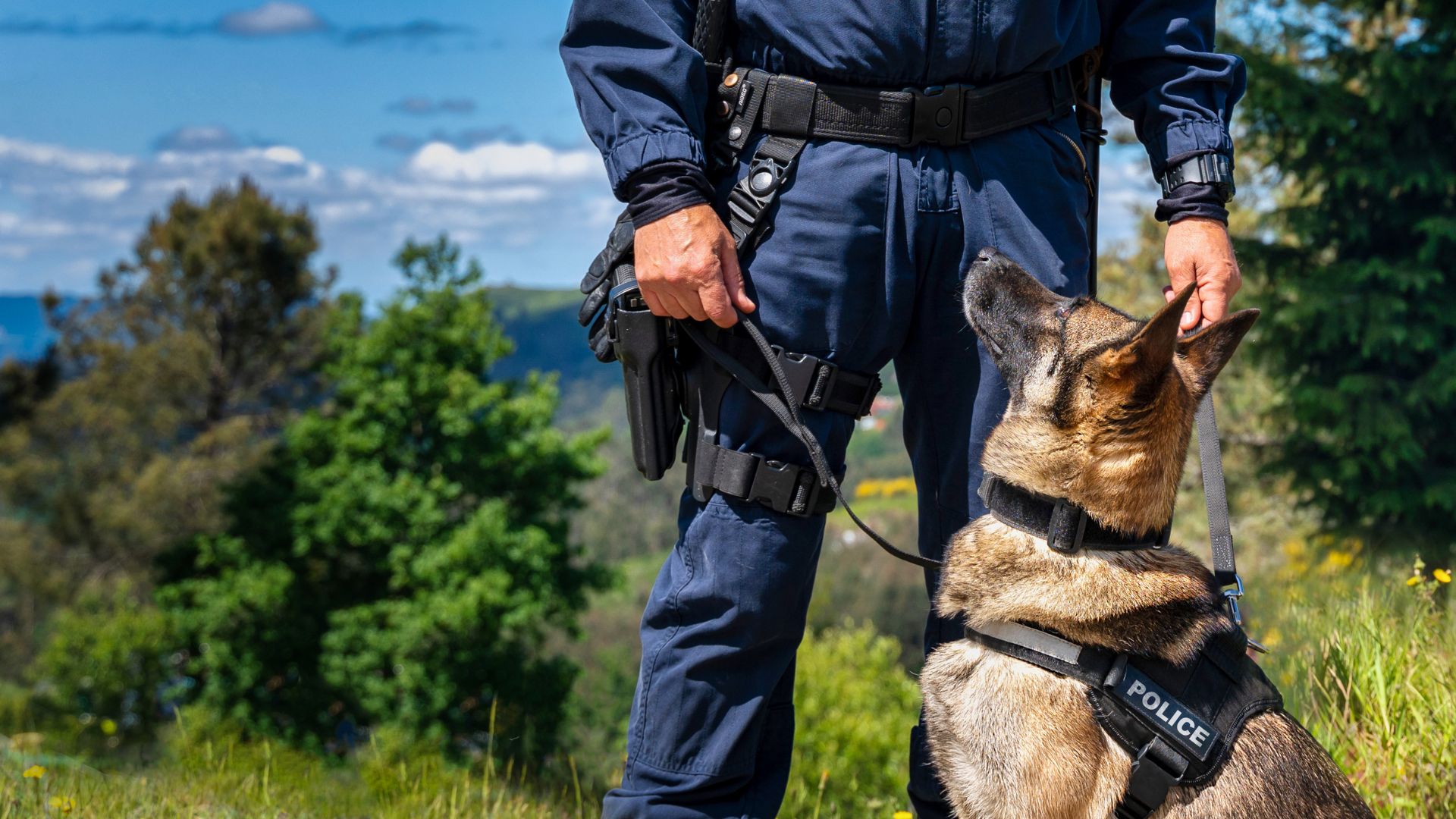 Policía Nacional vs Guardia Civil - Diferencias, temarios y requisitos 2025 / 2026