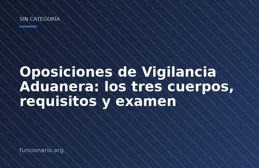Oposiciones de Vigilancia Aduanera: los tres cuerpos, requisitos y examen